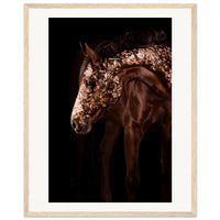 c4ccfa1f-a84d-4513-b566-0250983d9cf4