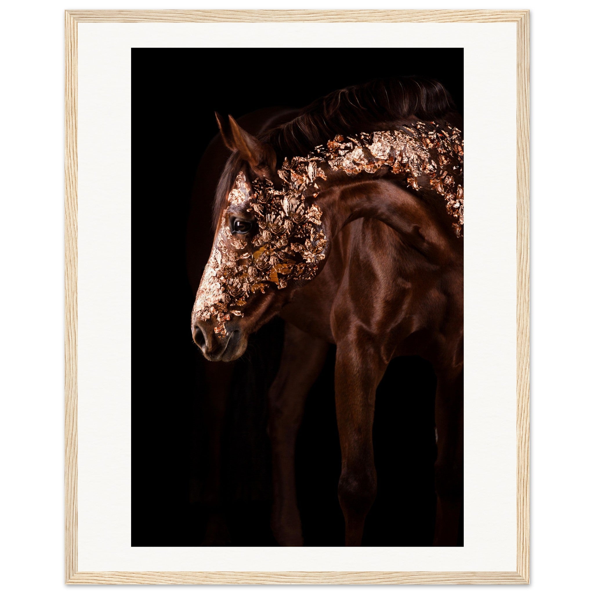 c4ccfa1f-a84d-4513-b566-0250983d9cf4