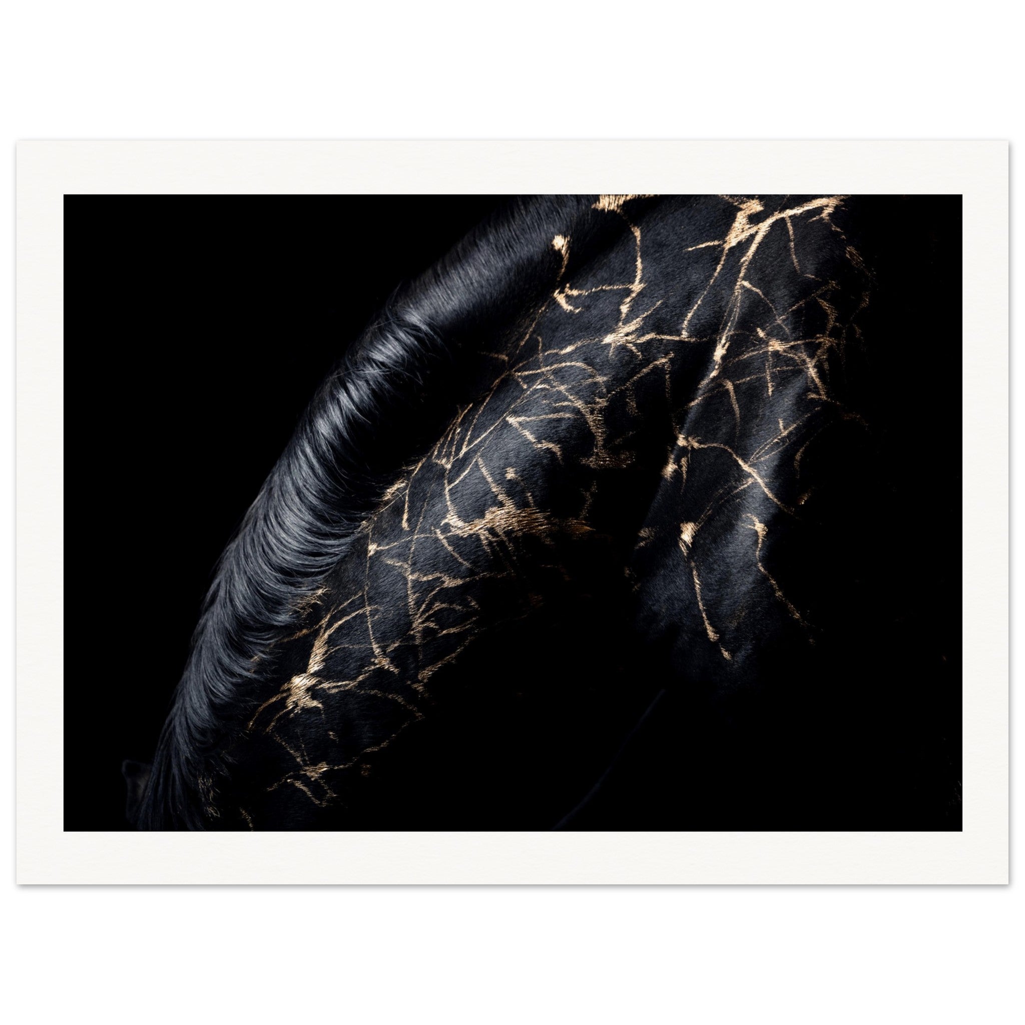 c4cece7f-fd94-4cd6-ae49-1d2842304ac7