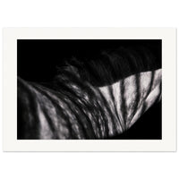 c4d78106-235c-45df-9870-4c19b3e80871