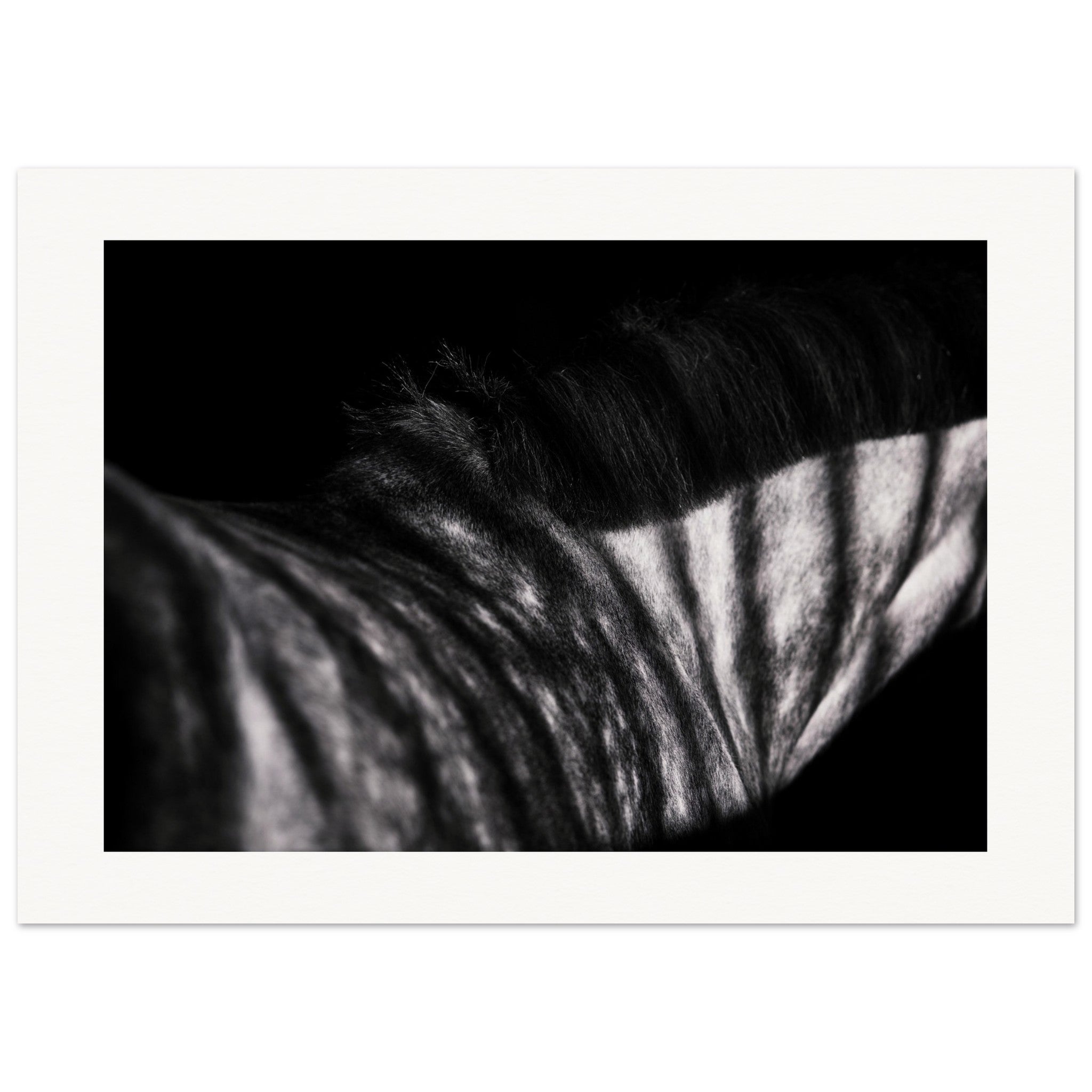 c4d78106-235c-45df-9870-4c19b3e80871