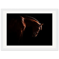 c5295499-549c-454b-bc64-7e36062d7954