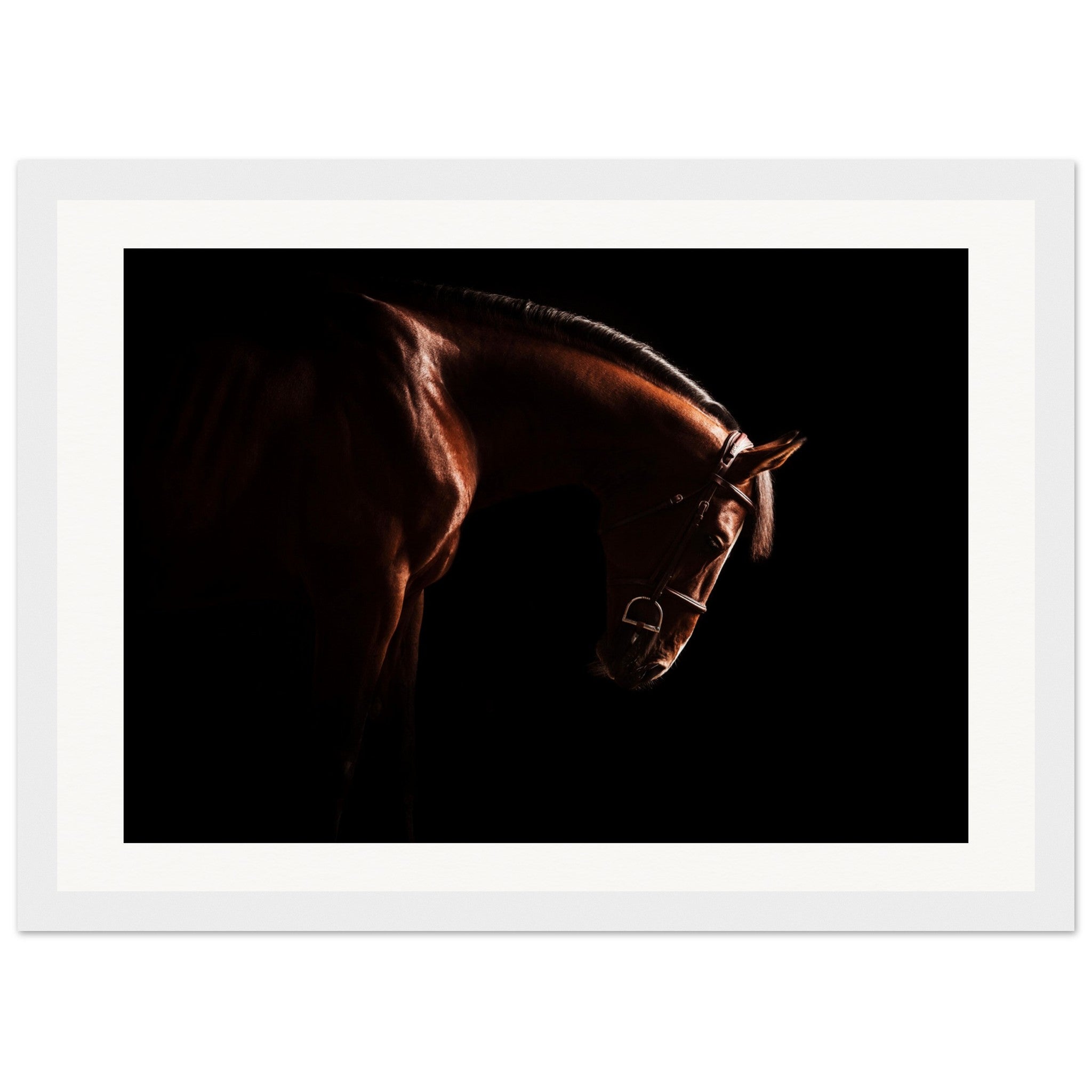 c5295499-549c-454b-bc64-7e36062d7954