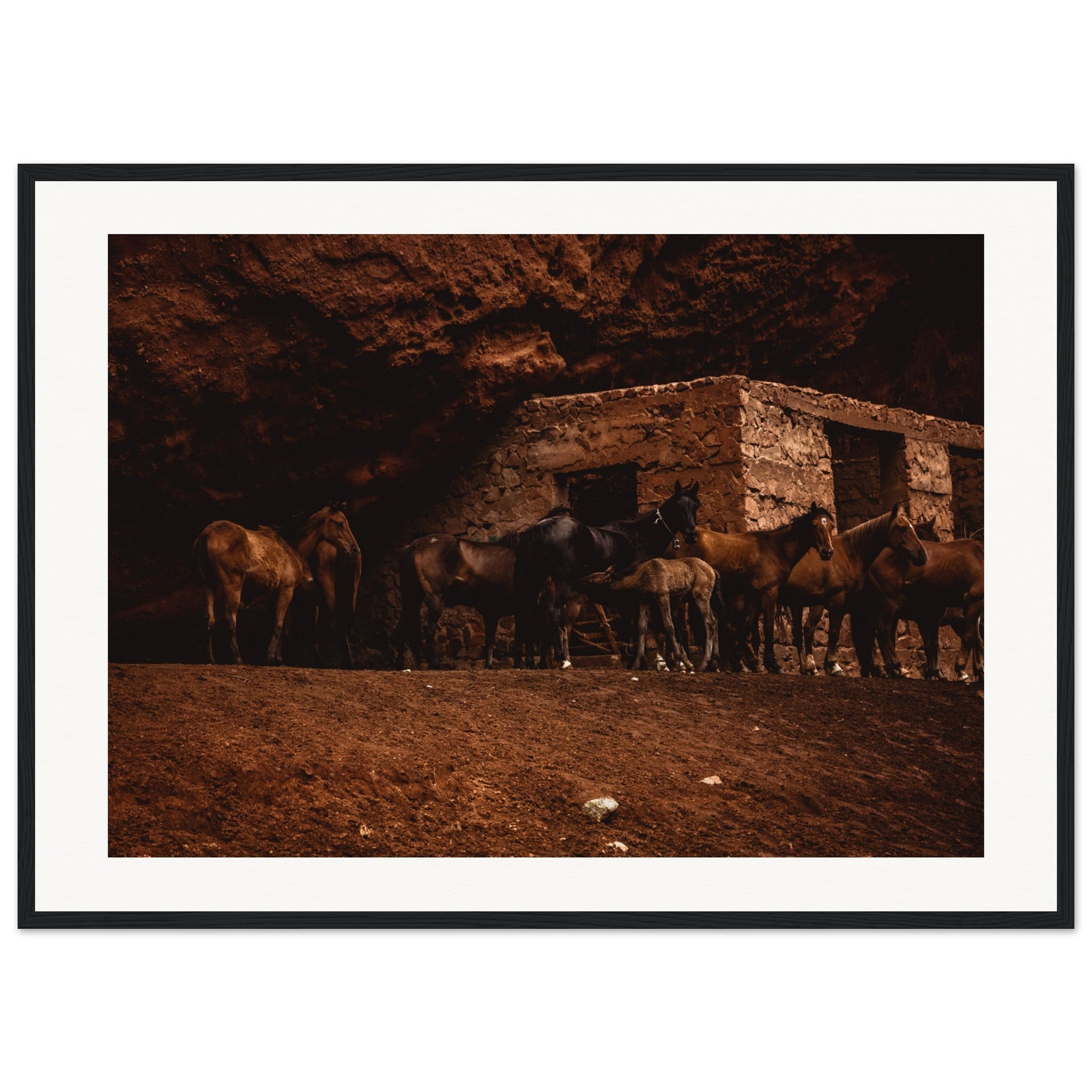 c55e8531-6e8f-49e8-941f-99da9a4e39fd