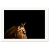 c5e9d3e6-1b03-461a-9fe7-3cb676fce027