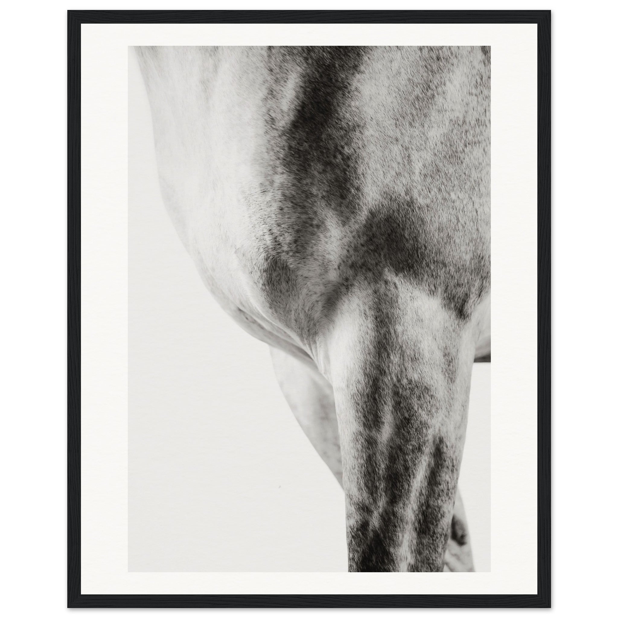 c606b689-78d0-48b3-a049-f92e6ccbf563