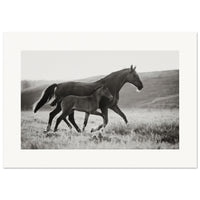 c60e2fc3-46d2-40a6-80a6-2609047e2052