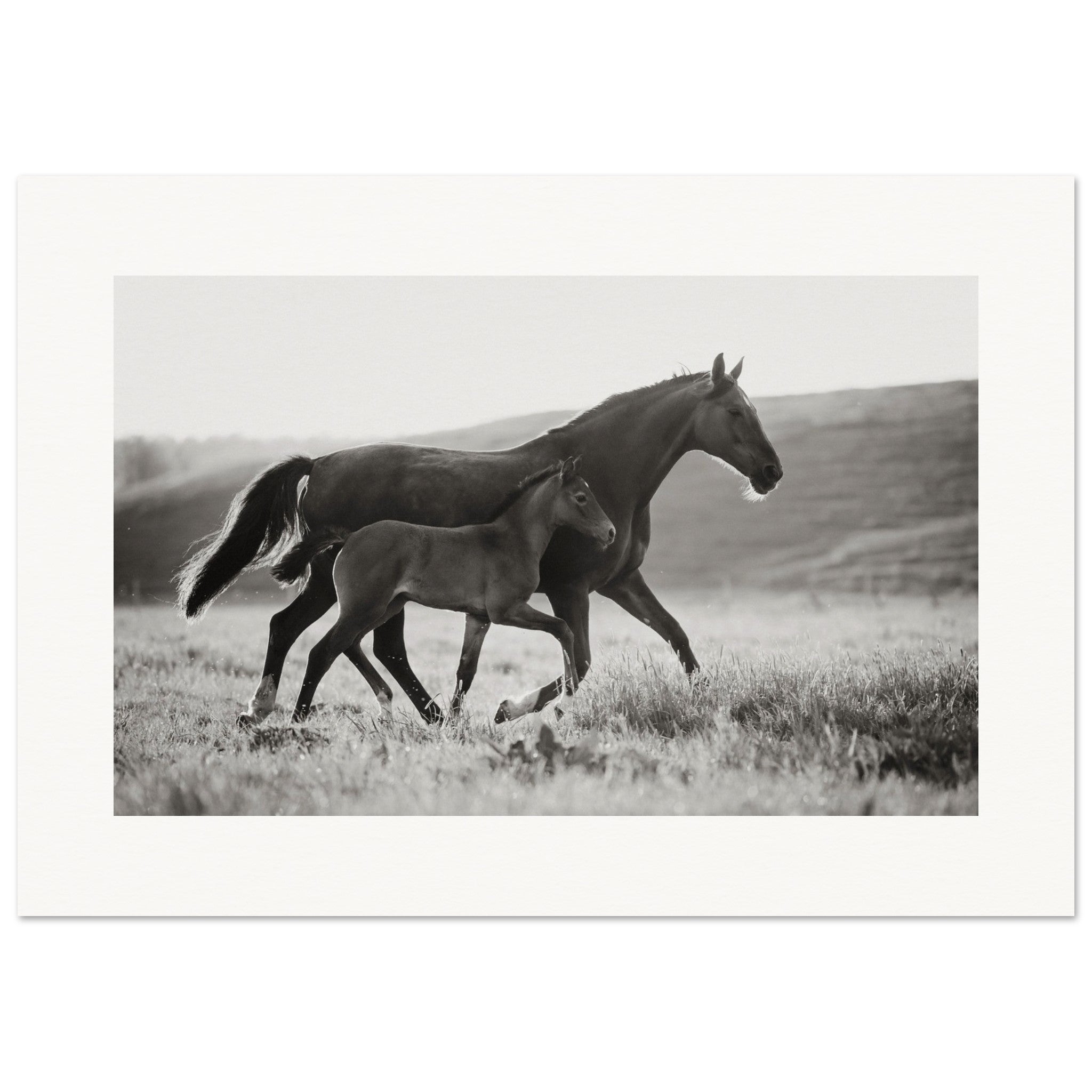 c60e2fc3-46d2-40a6-80a6-2609047e2052