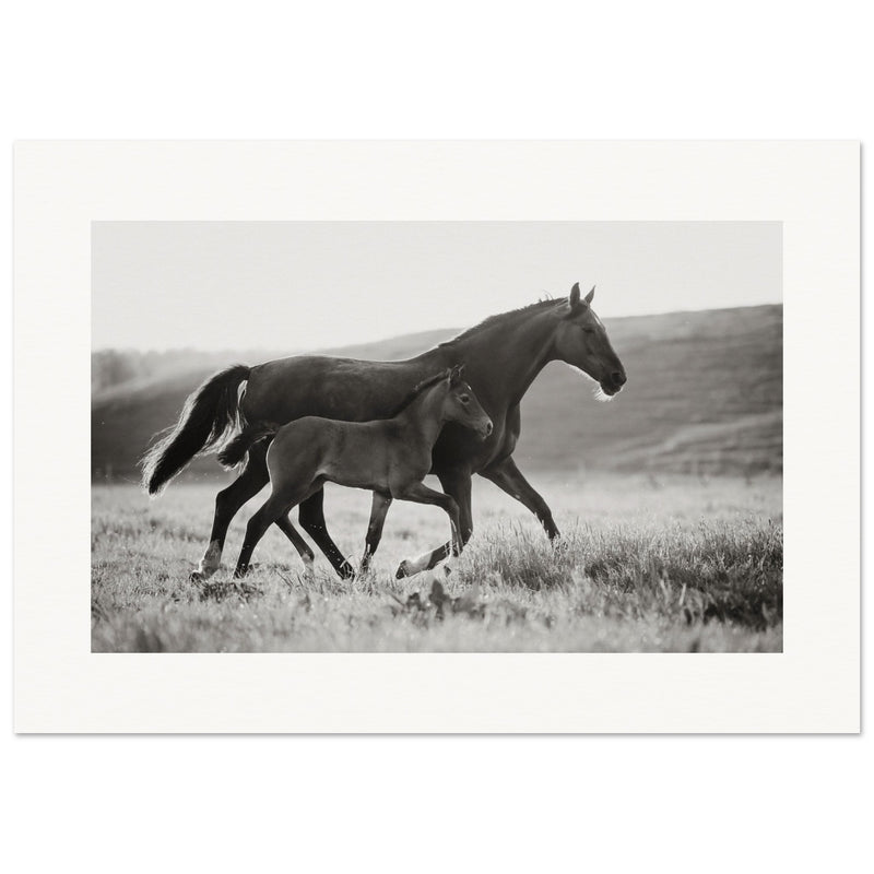 c60e2fc3-46d2-40a6-80a6-2609047e2052