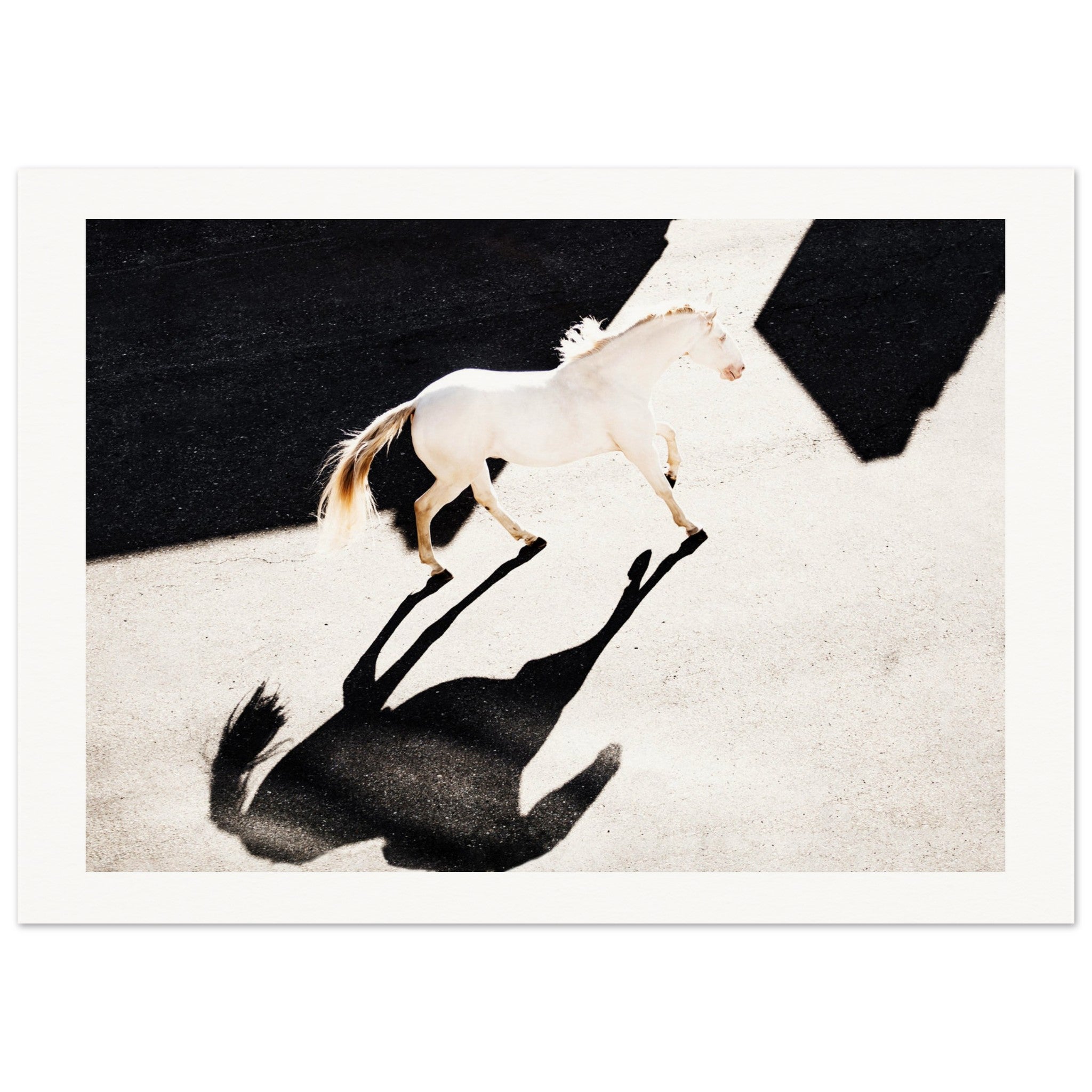 c67d87b4-70c1-4206-afb9-0d5b8e7b8f3b