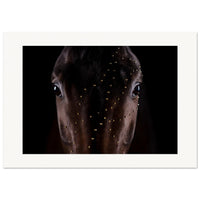 c67e691f-d9c9-44e0-8743-8f1b522a83e7