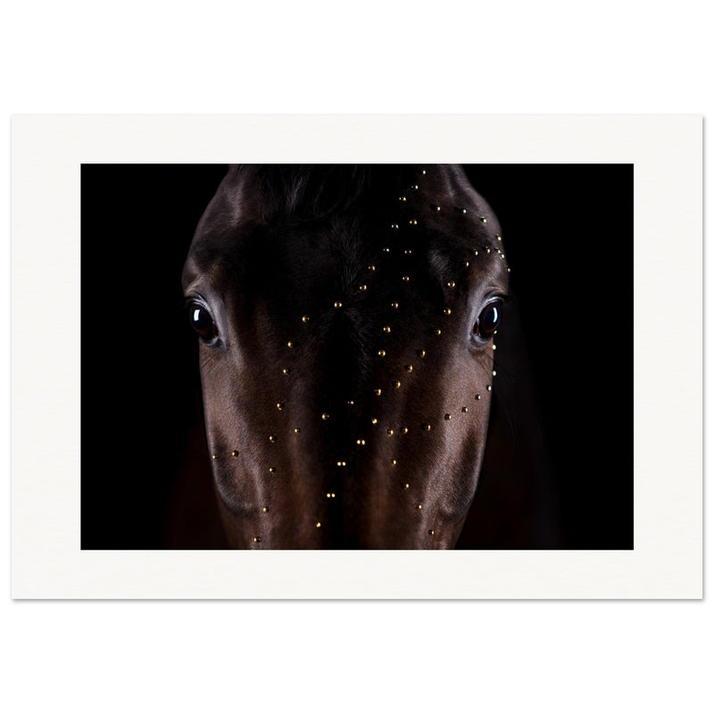 c67e691f-d9c9-44e0-8743-8f1b522a83e7