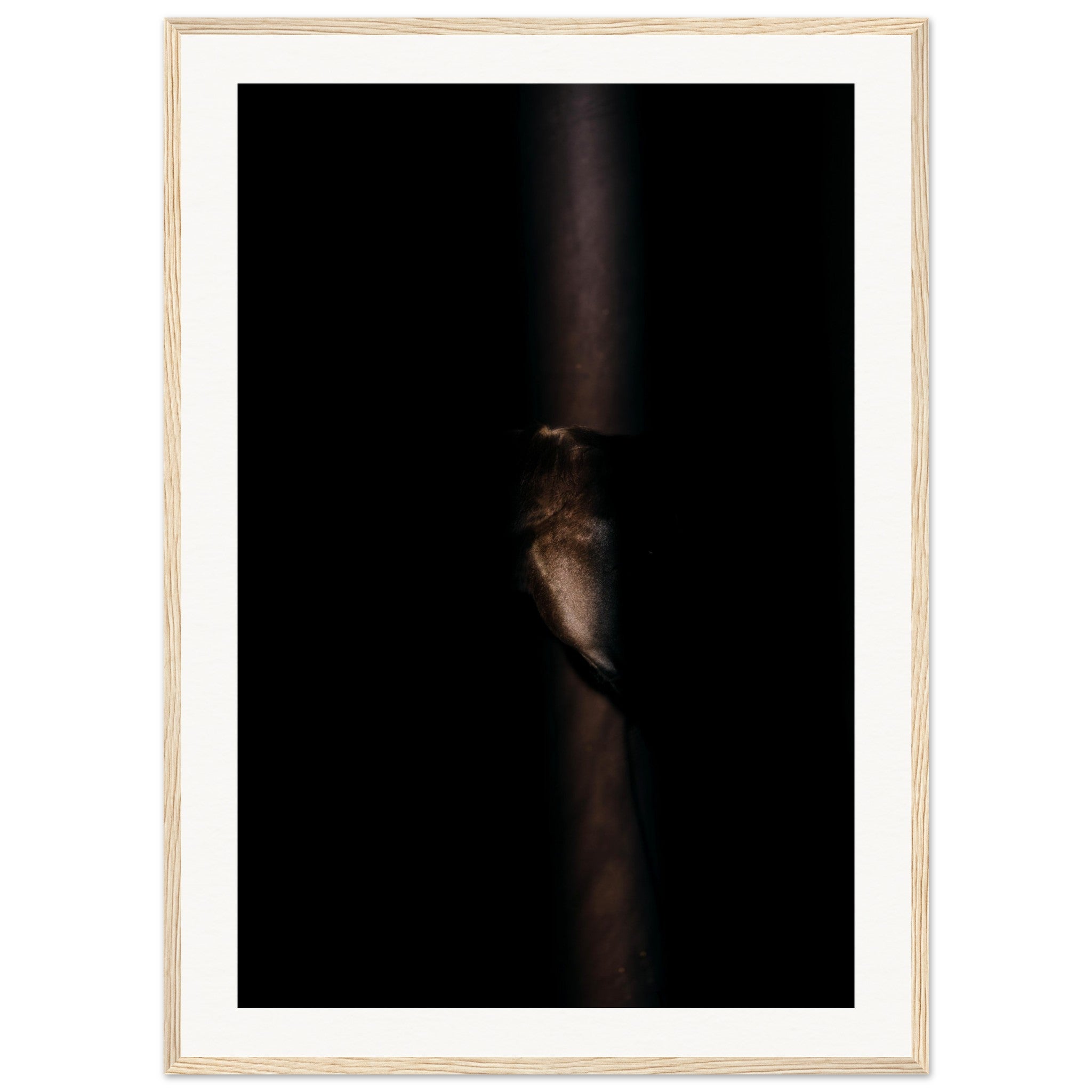 c687ba00-6c31-4145-982f-d0d3d4f7a045