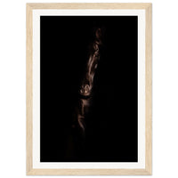 c6ca7210-b078-405c-a496-db23325e5d8c