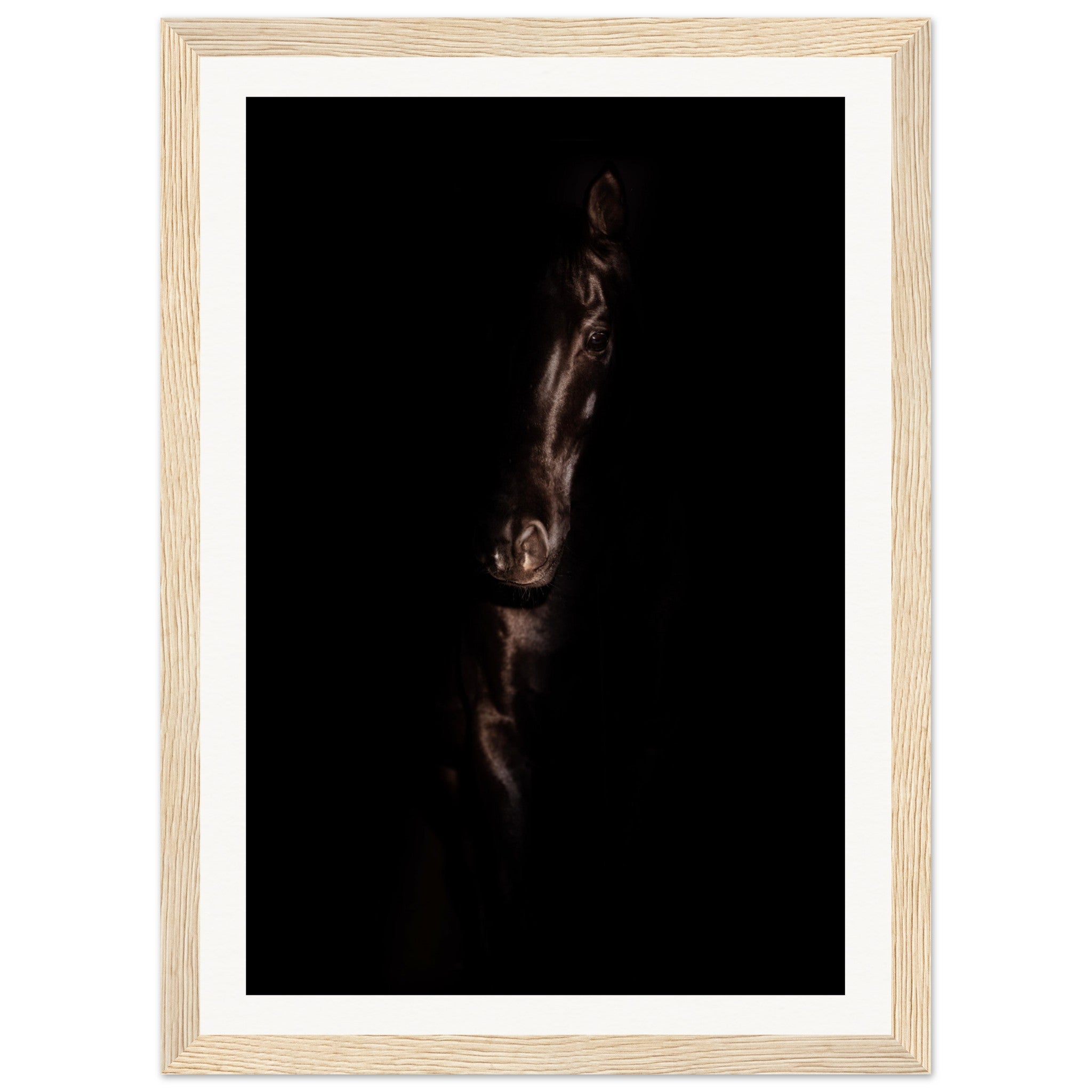 c6ca7210-b078-405c-a496-db23325e5d8c