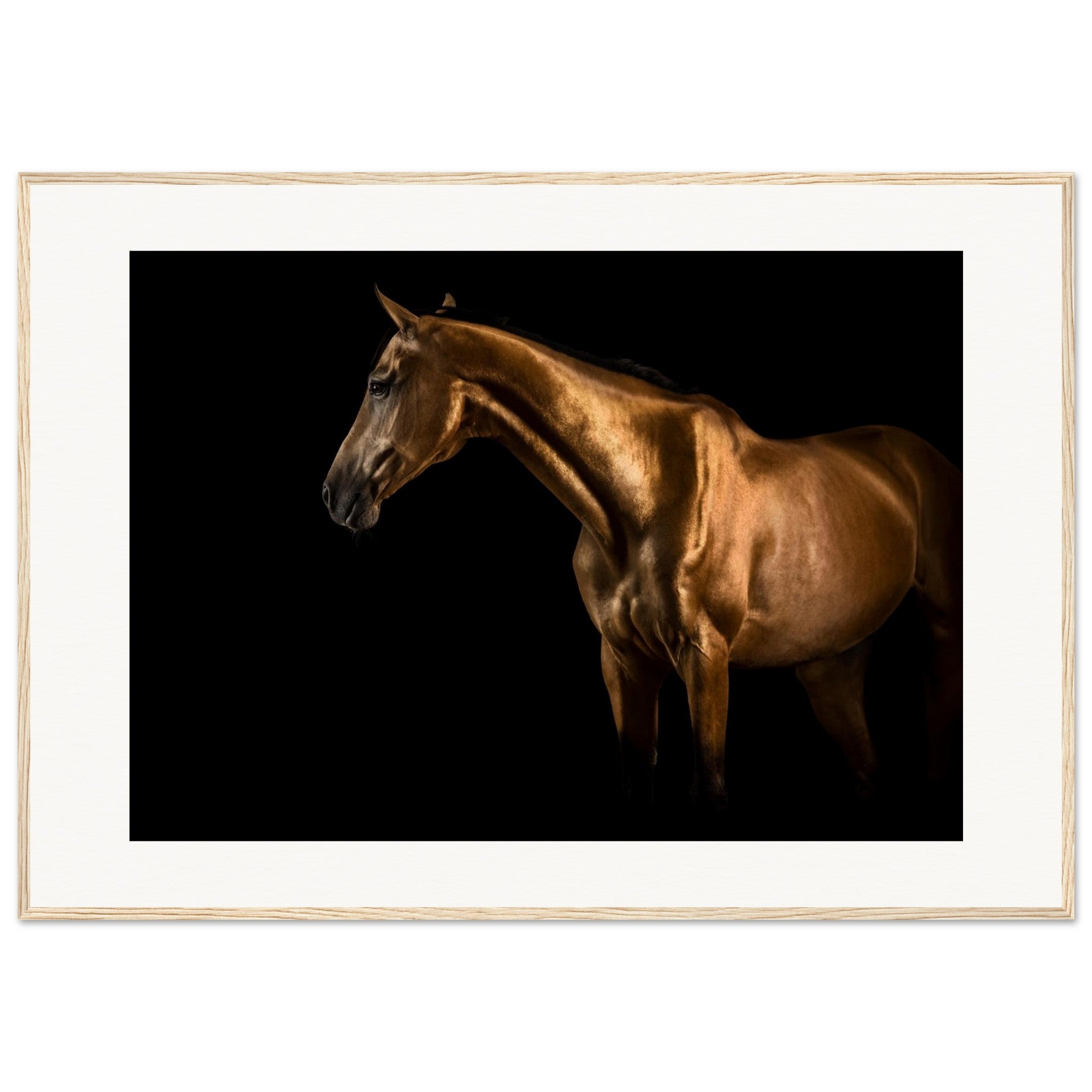 c7045f29-638d-473b-84fe-9fbec8901dc6