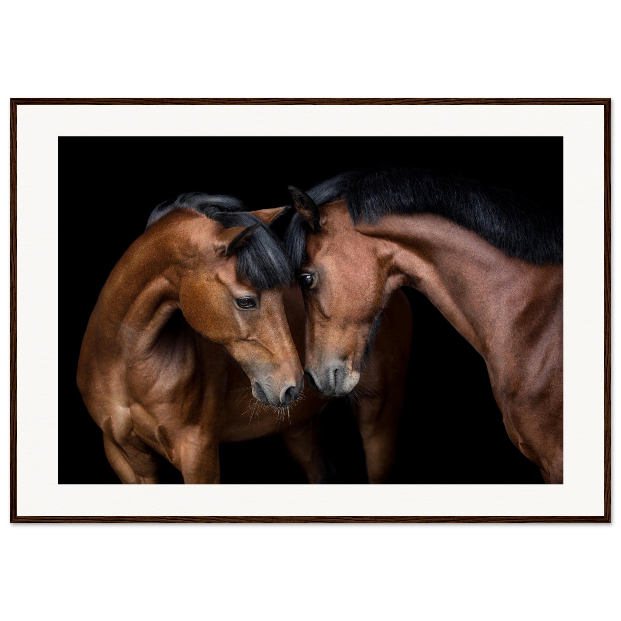 c72469f5-6bcd-4735-836e-17c5e2f1e611