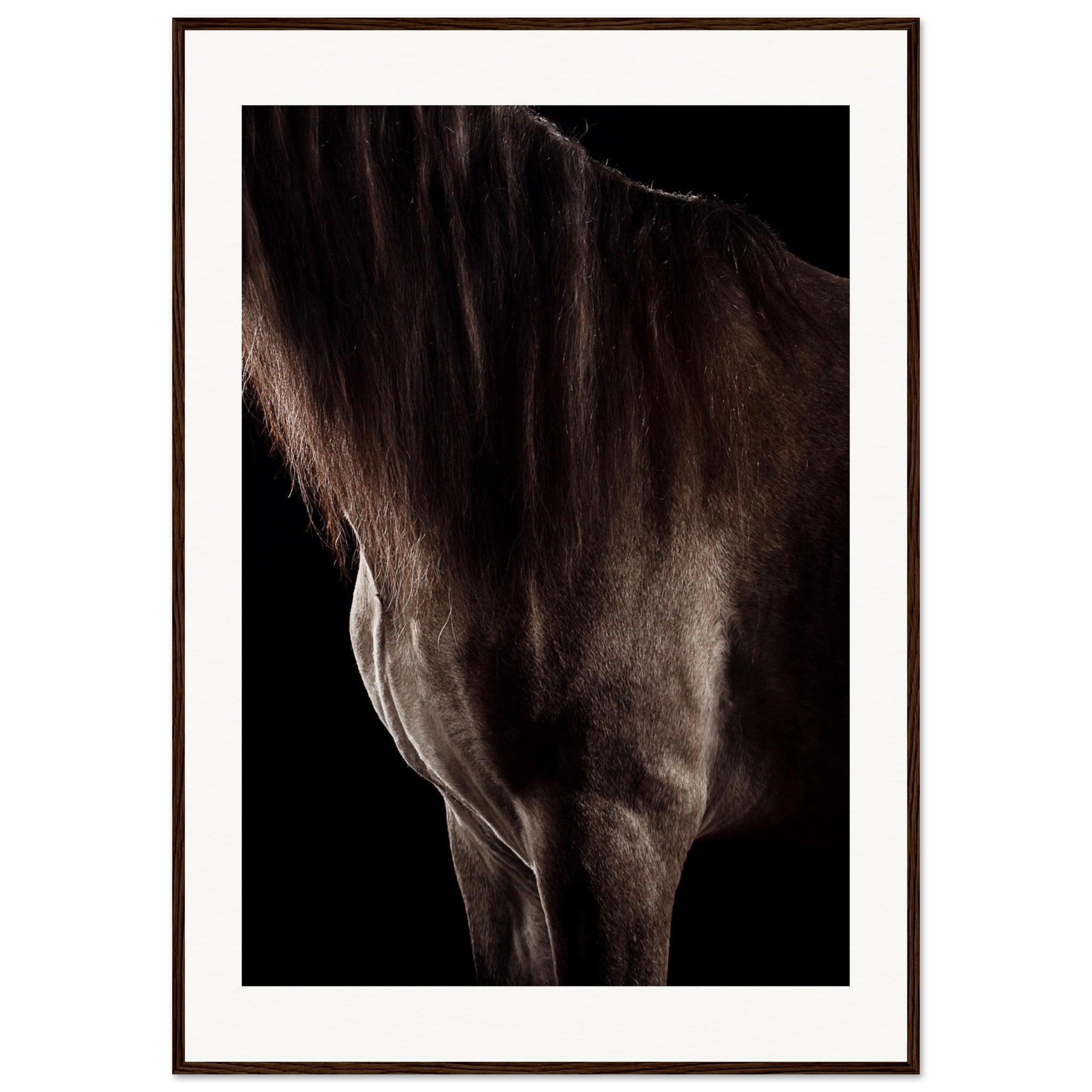 c73f3ca5-5f4c-48c1-a1a4-8cc2e3fd4f1b