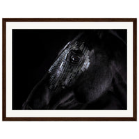 c77440f1-6795-4263-81f8-13b4278ac140