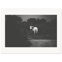 c78ad306-0a78-46ee-8c5a-221683c0bd7e