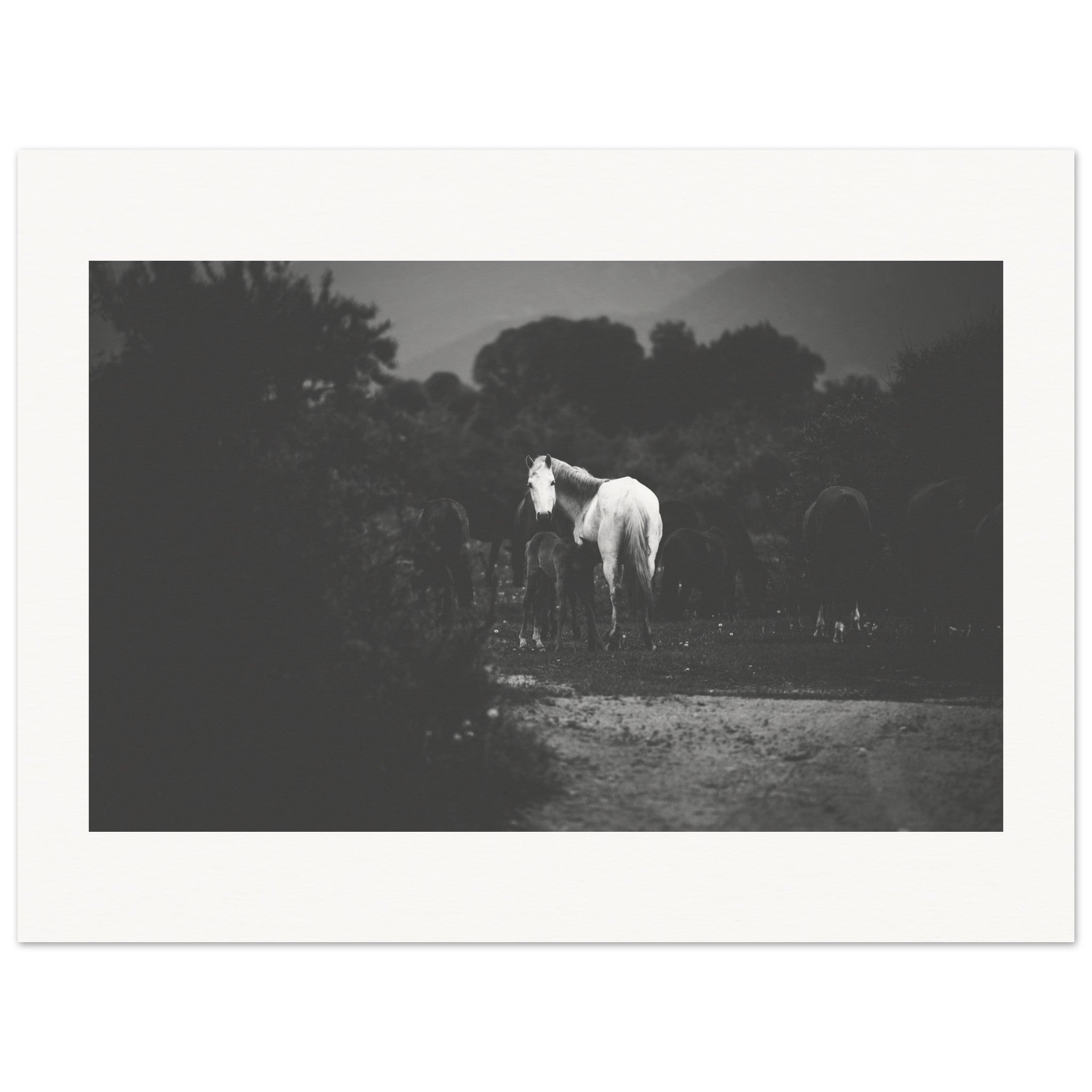 c78ad306-0a78-46ee-8c5a-221683c0bd7e