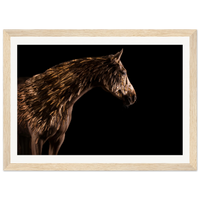 c7ba1334-696f-456a-b329-c4875af6fec6