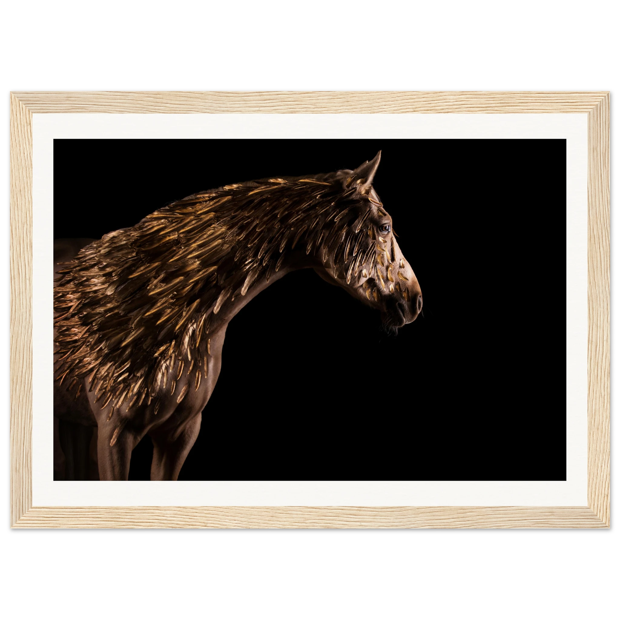 c7ba1334-696f-456a-b329-c4875af6fec6