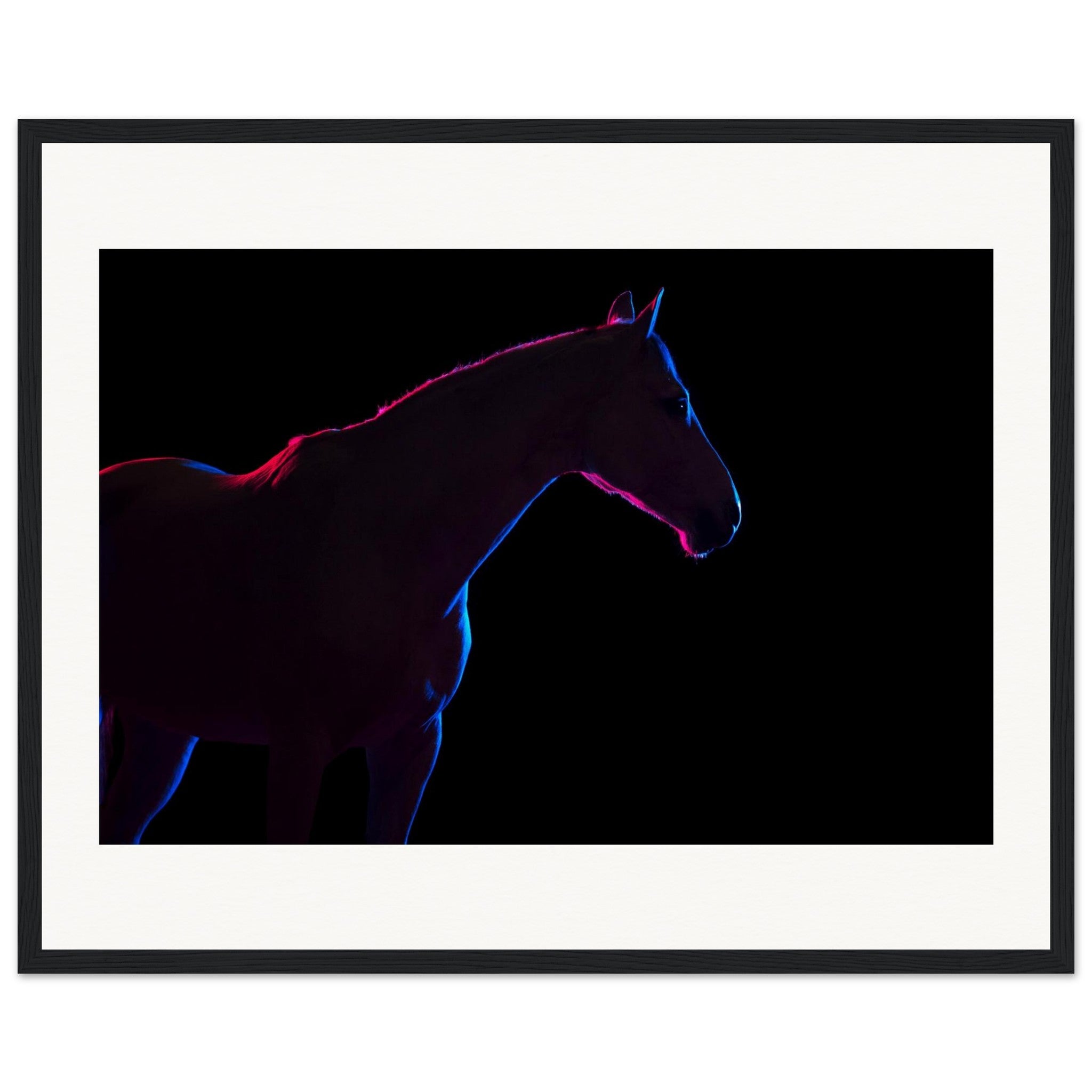 c7ec4712-d806-4c42-b784-402ab7483c13