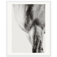 c865652e-cd5a-4fea-903d-4b98c1200900