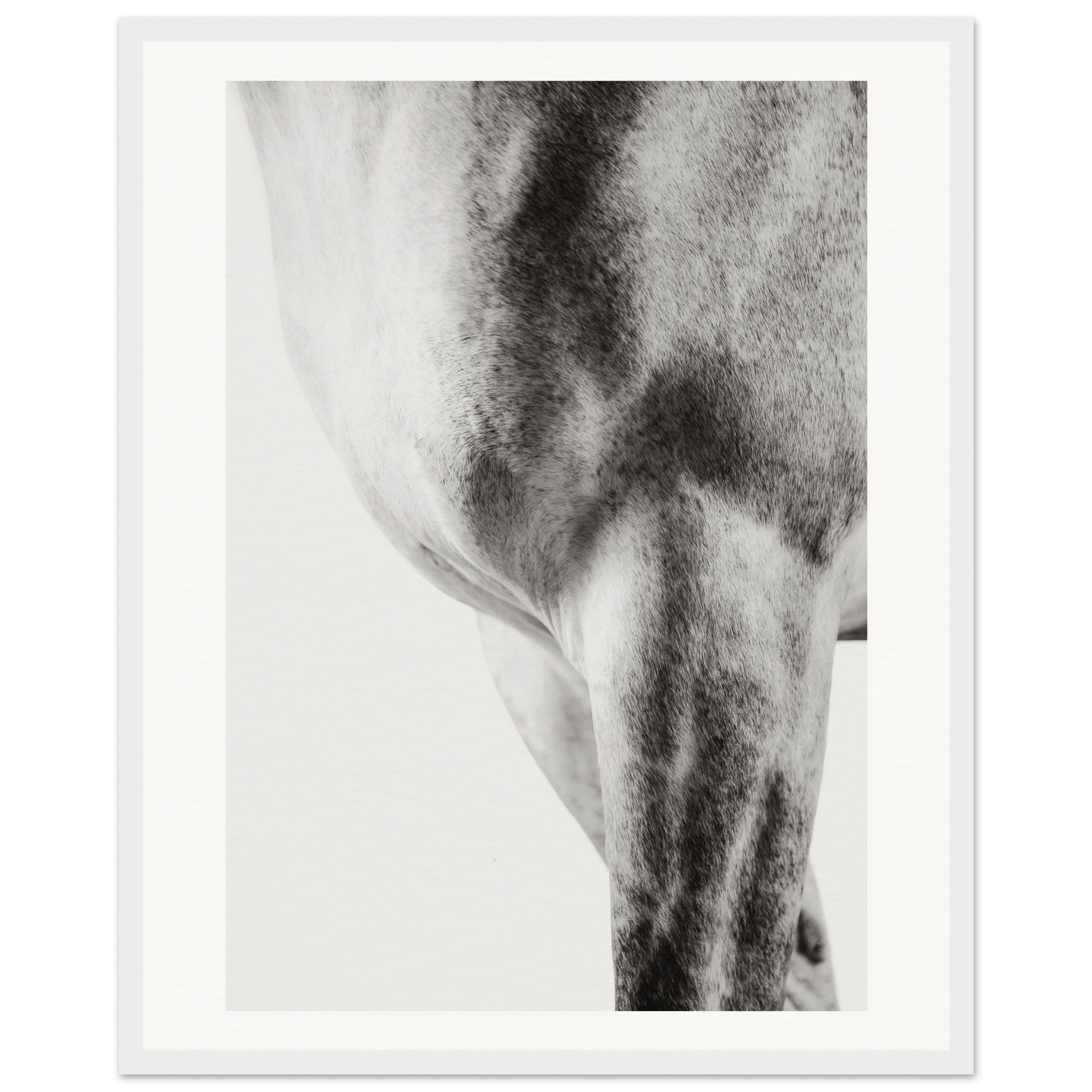 c865652e-cd5a-4fea-903d-4b98c1200900