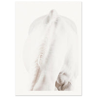 c888825e-c959-4545-a181-9b8c85f29dbb