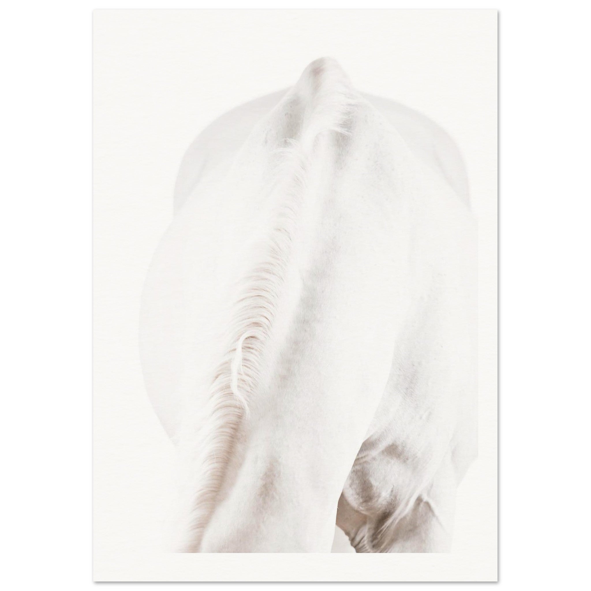 c888825e-c959-4545-a181-9b8c85f29dbb