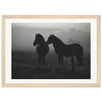 c8898536-09de-4faa-aa05-2cdfdb8decec