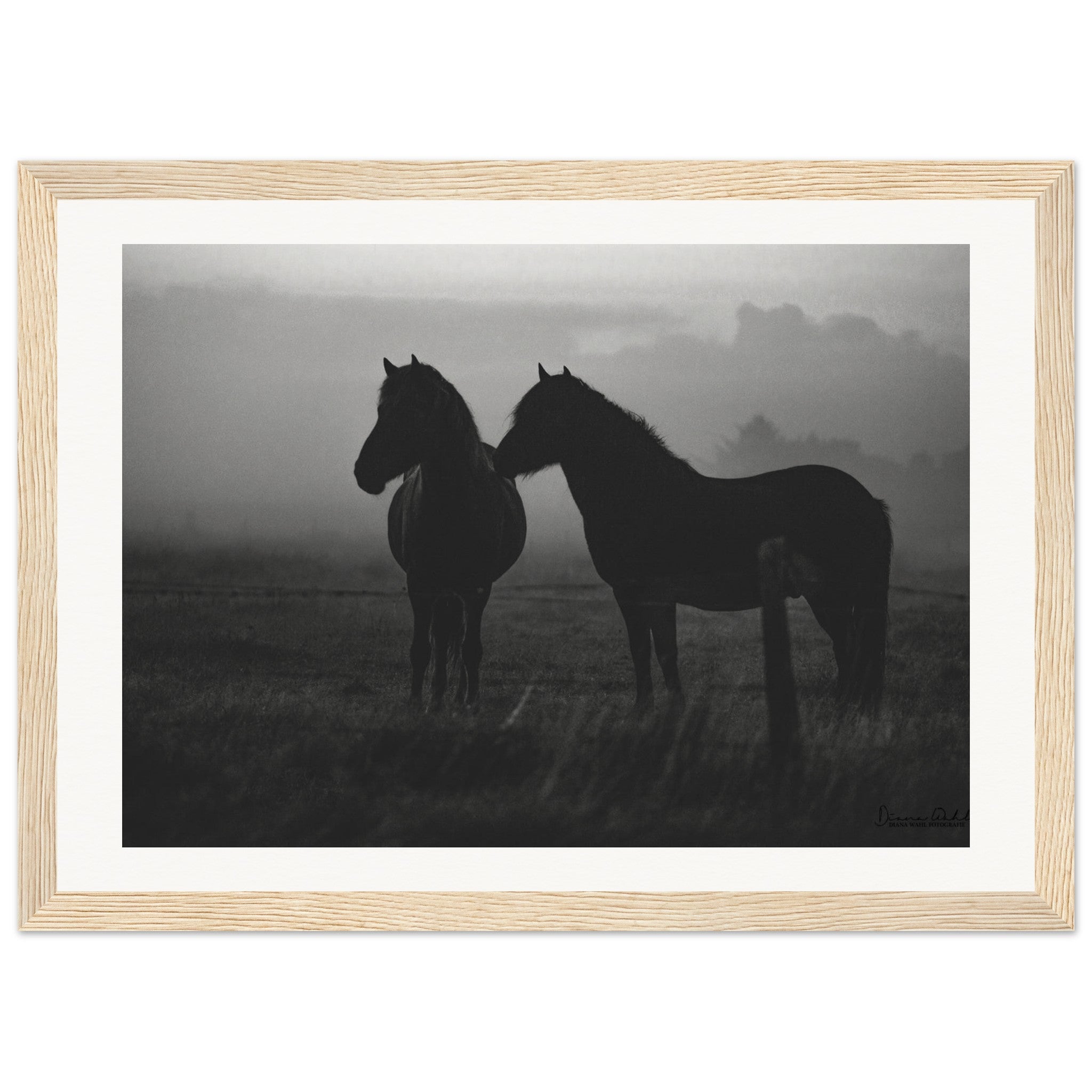 c8898536-09de-4faa-aa05-2cdfdb8decec