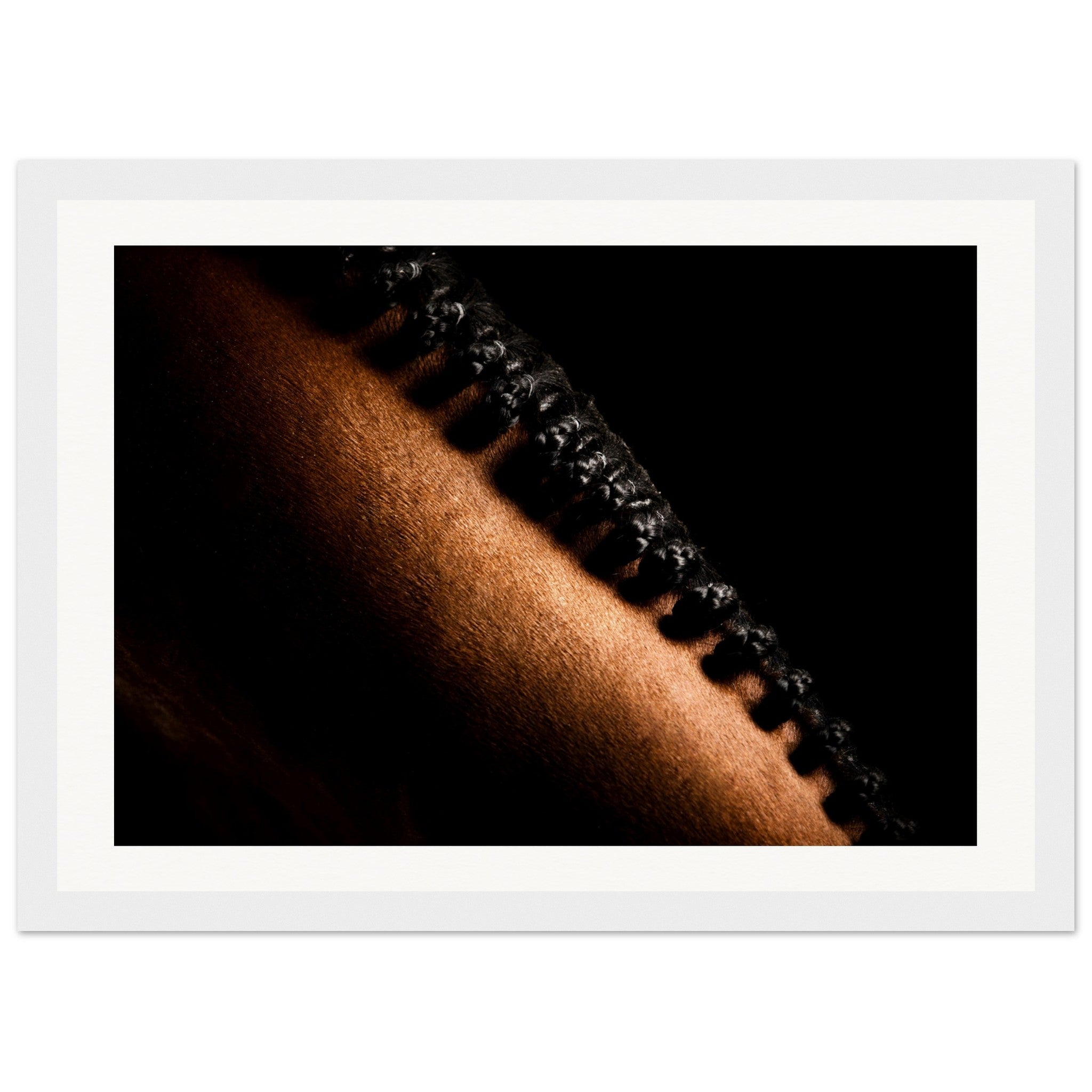 c88e0ecf-b77f-457d-bef3-c5035798158b