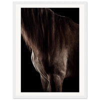 c8b084fb-b77b-458f-a914-9f4237a373e7