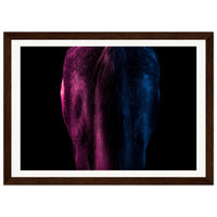 c8cd63df-7f1f-4e73-981d-2315be5a199c