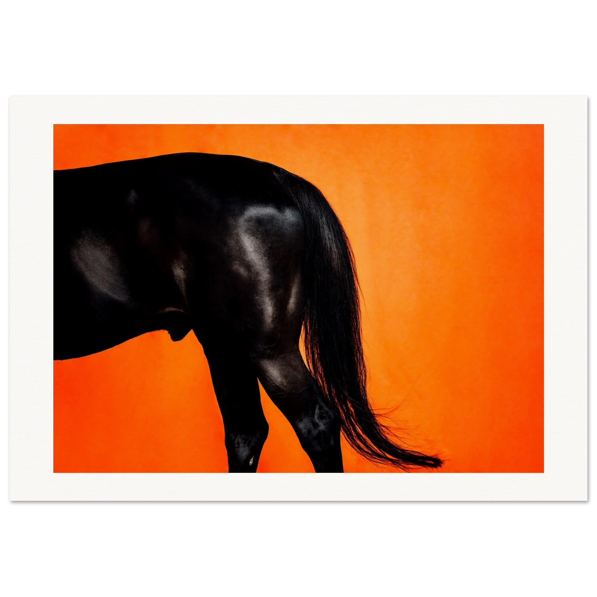 c8e7276e-0b78-4c87-a1ce-dec160cf5b39