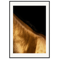 c8ec2d42-212c-4d13-b7c5-58d8dab169e1