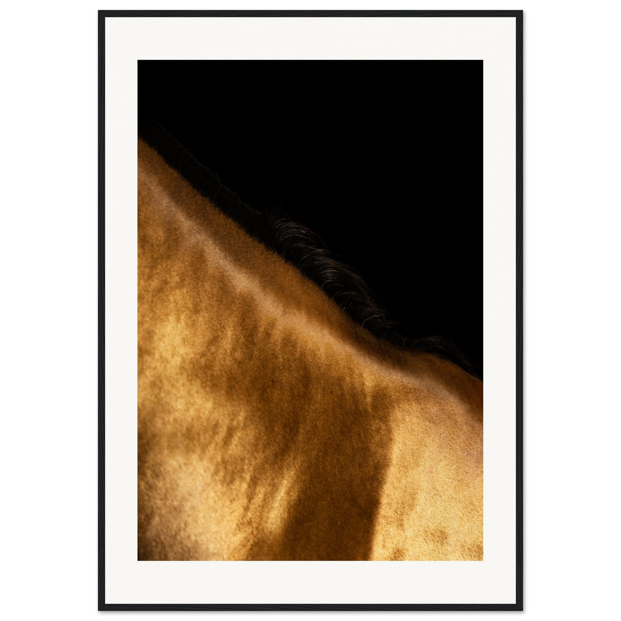 c8ec2d42-212c-4d13-b7c5-58d8dab169e1