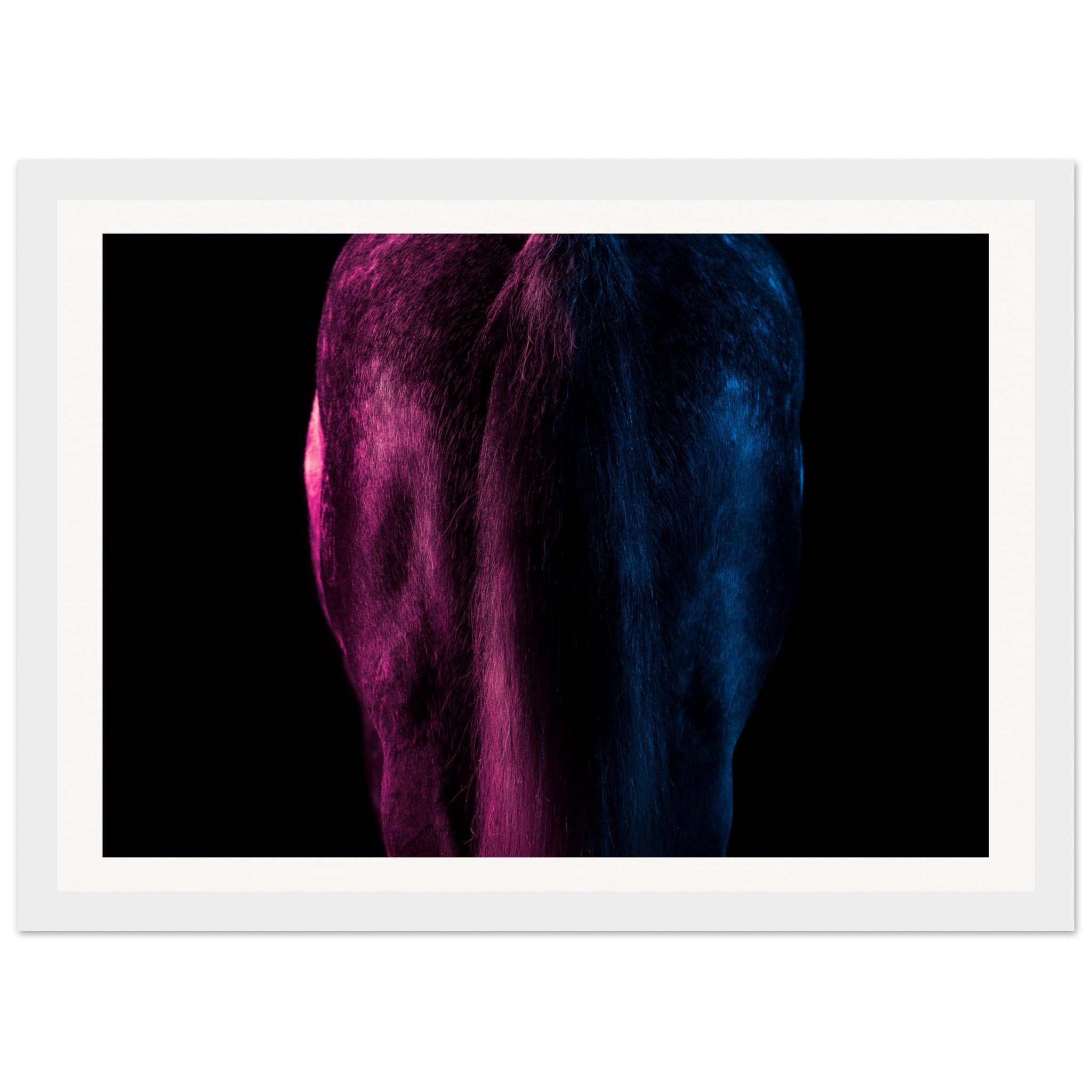 c8fbf4ee-a51d-4d0f-97b2-4a590d37e2ac