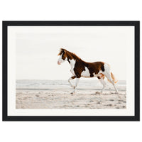 c94f46f9-e98f-40aa-86a7-f2d6396f6617