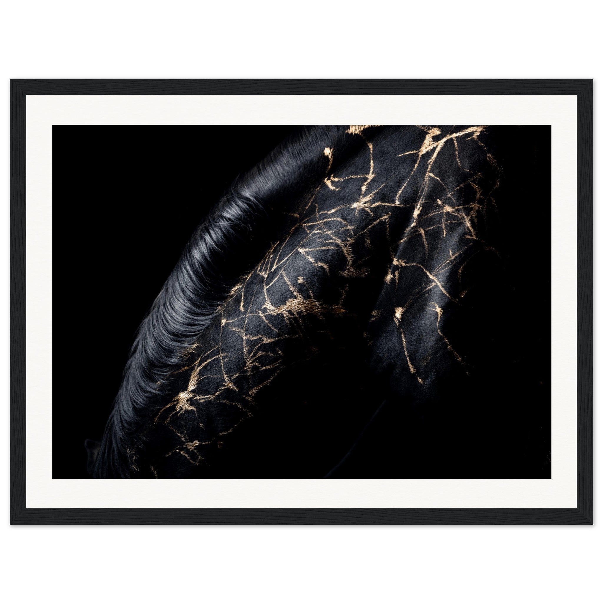 c9b27655-2764-40ea-aedb-d102b5a6bcb9