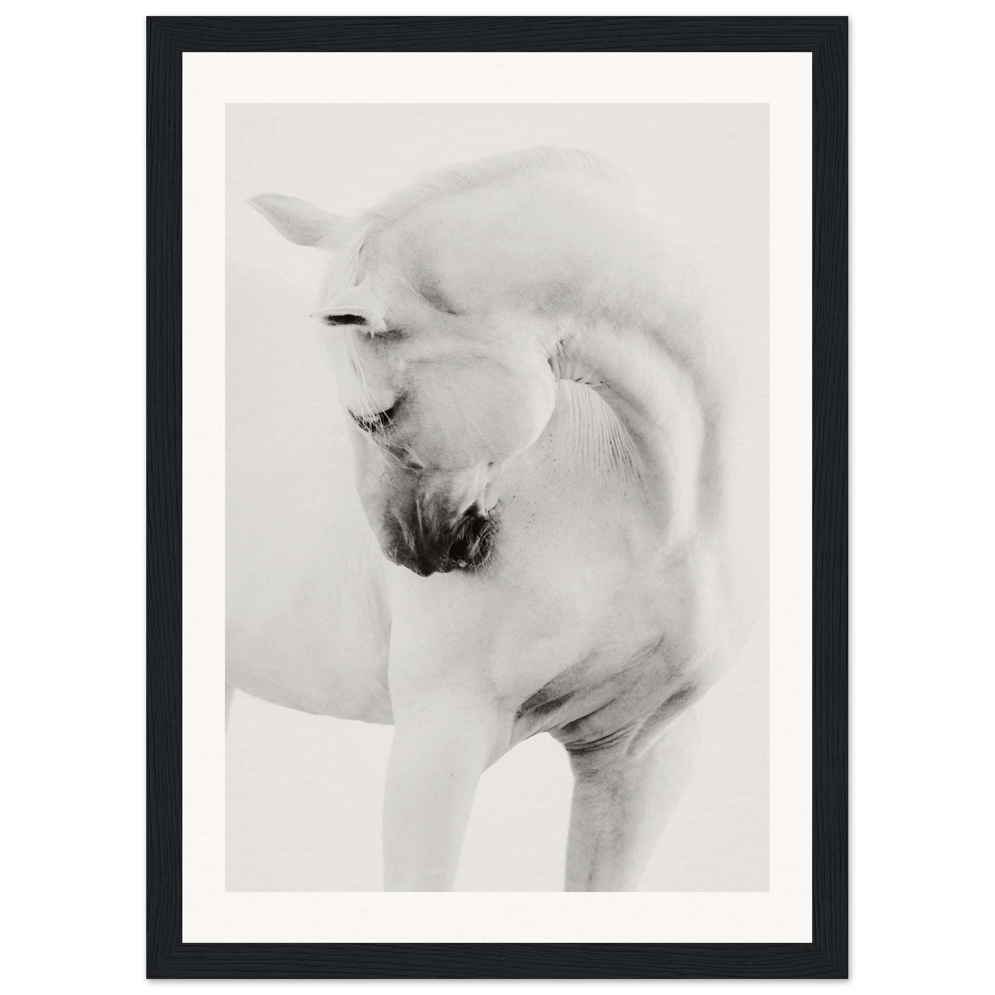 c9b64803-6450-4ca6-a1a7-025a4a7d3047