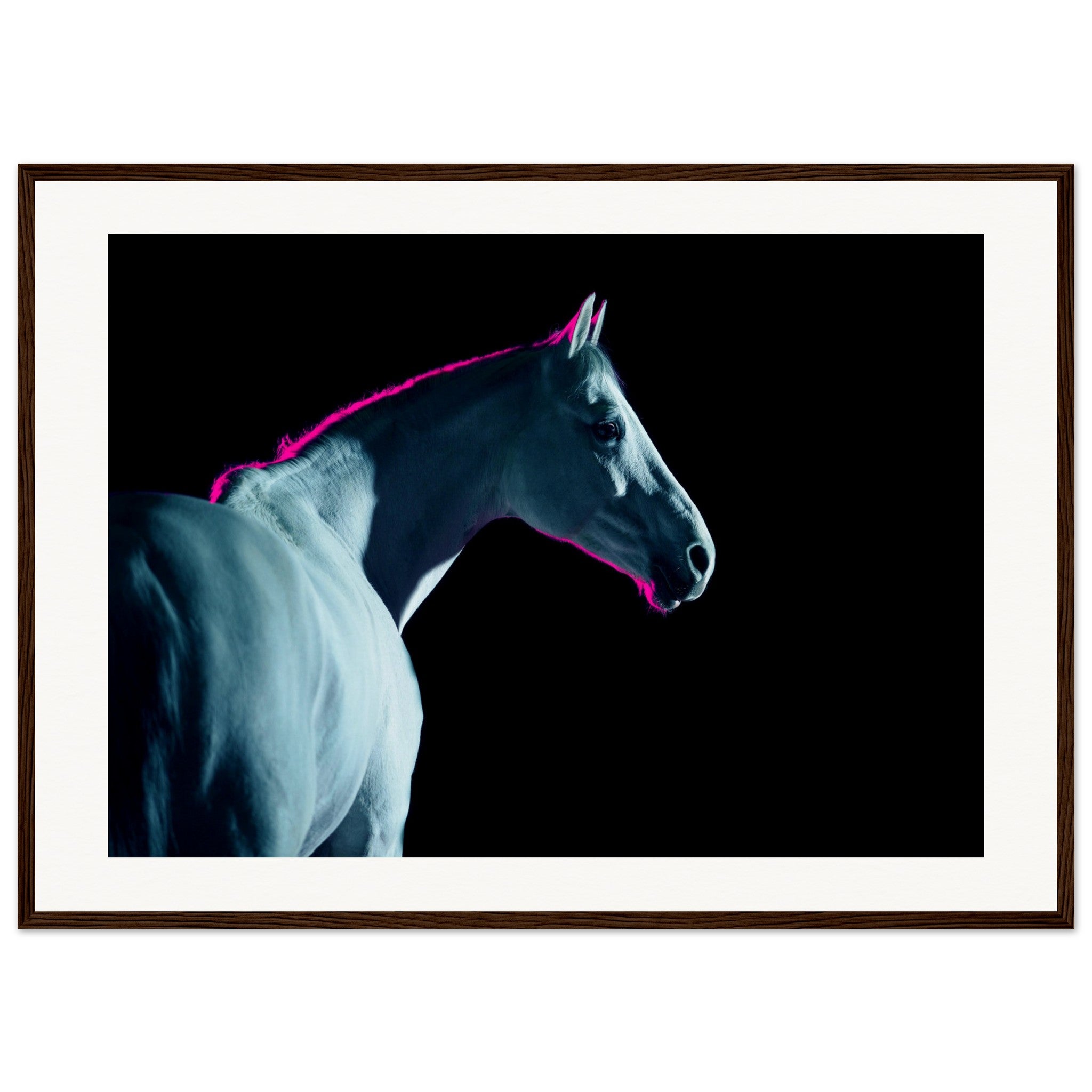 ca25acf8-0892-4b5a-88a1-0f41ca99f449