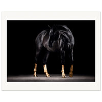 ca35dab4-d7ad-4a54-83f9-e17973859e80