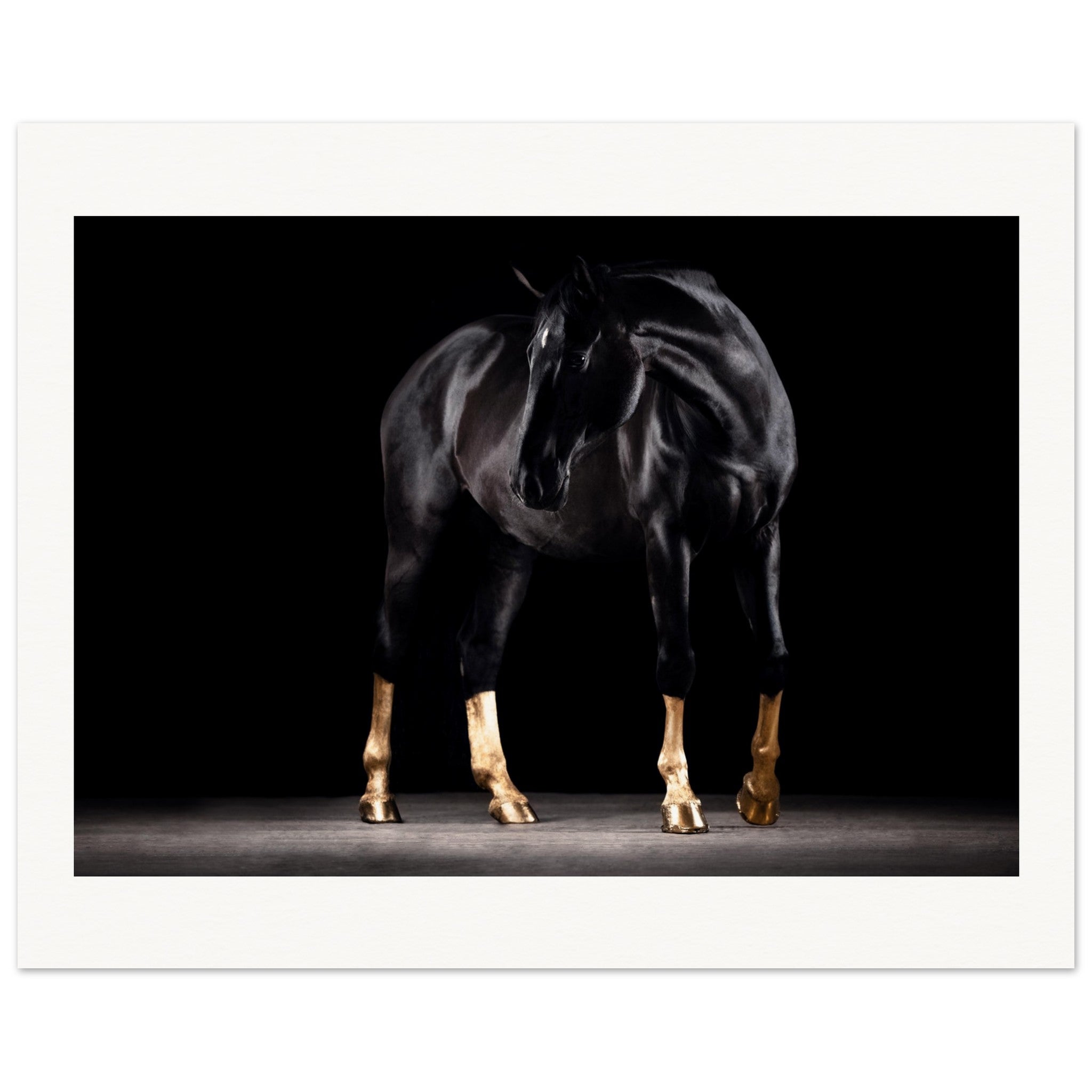 ca35dab4-d7ad-4a54-83f9-e17973859e80