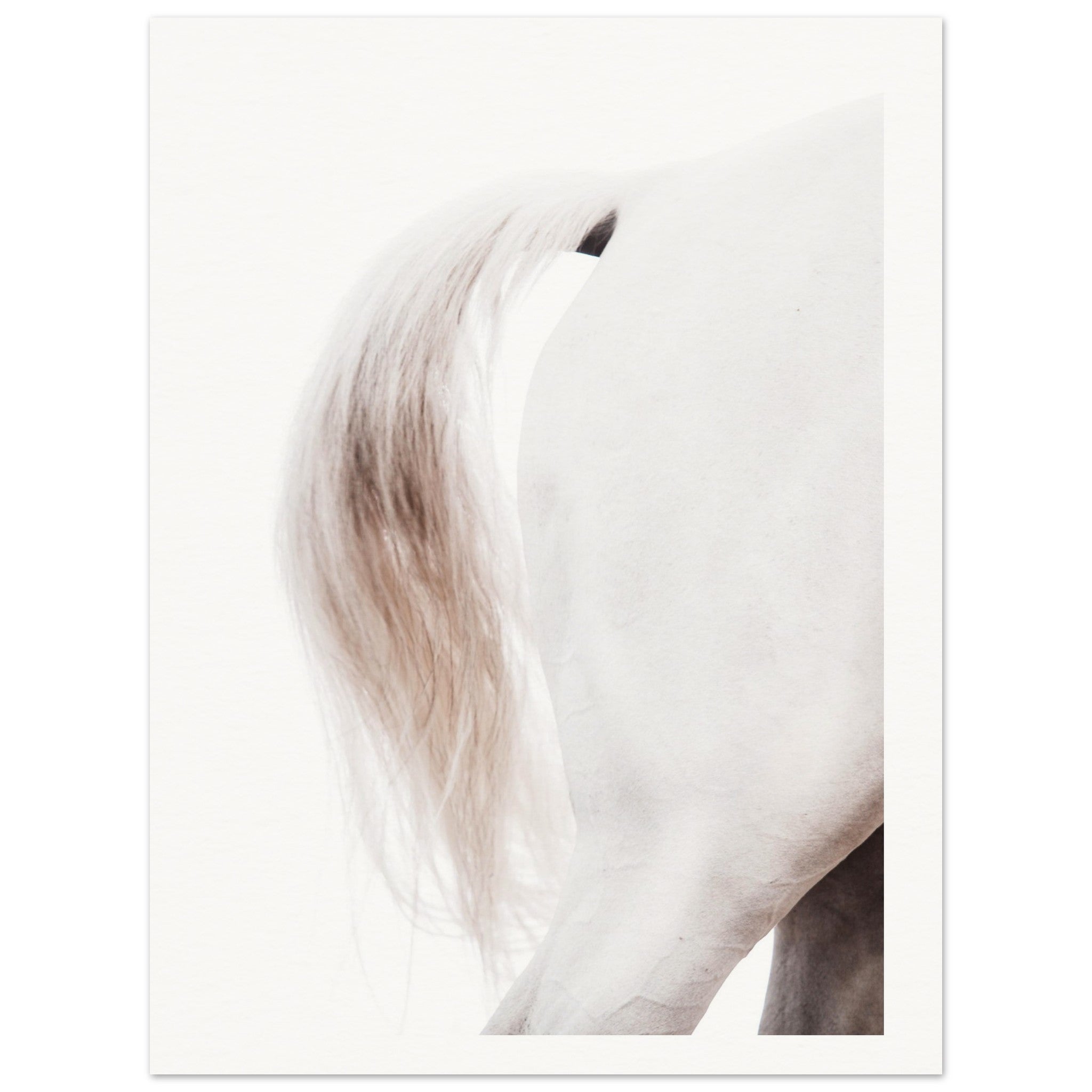 caa7cd1c-ac96-4a69-841c-bb116b3f0395