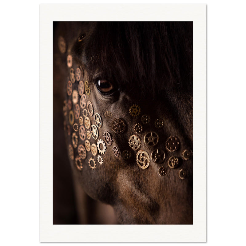 cb81ecd5-2a10-41ab-a376-9afaa2afd1db