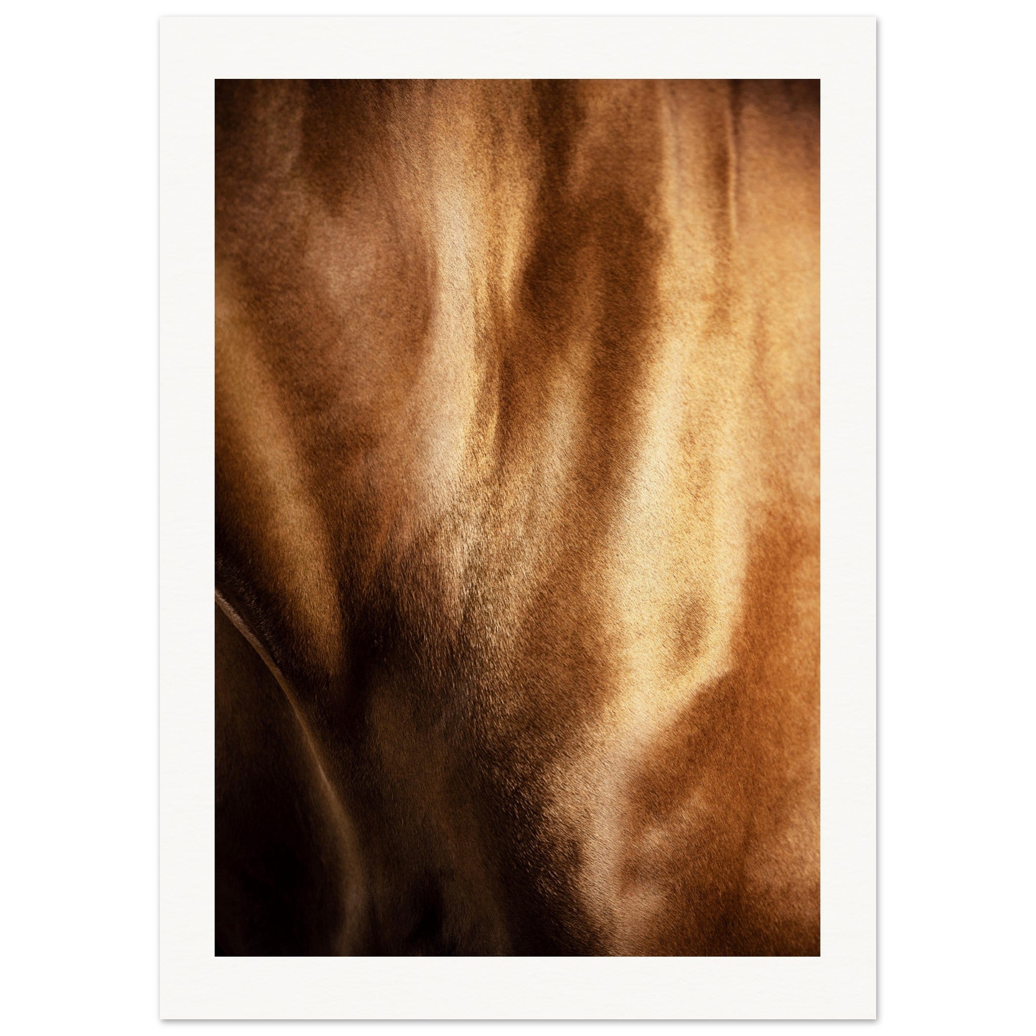 cbead757-e4a1-4a76-88f5-79a5a55799aa